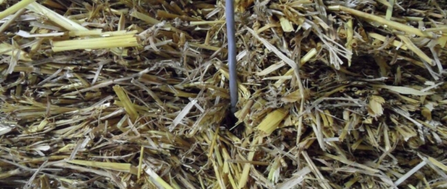 Sonde dans paille