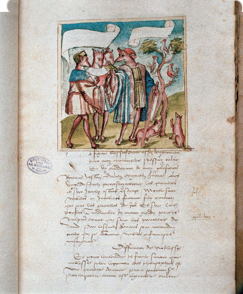 Deneyer_BM_Poitiers_Renards_2