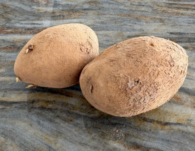 Photographie de deux pommes de terre