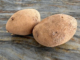 Photographie de deux pommes de terre